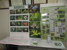 アースデー2018inなら:環境落語会&カフェを開催しました