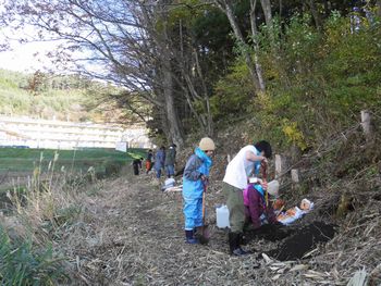 ＮＰＯ法人桜ライン311の植樹会に参加しました