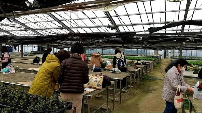 五條コープ委員会：“寄せ植え講習会”和風か洋風を選んで楽しみました 