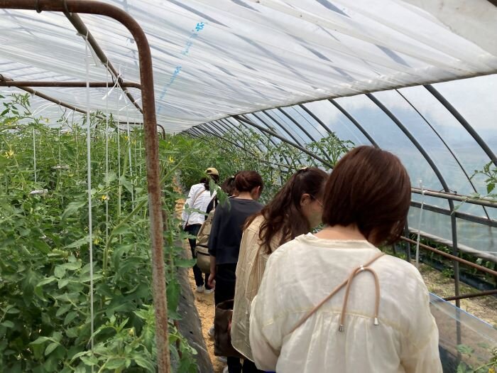 広陵コープ委員会：治(はる)道(みち)トマトの産地見学に行きました