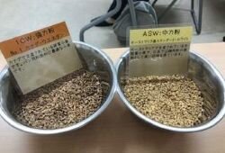 西の京コープ委員会:巽製粉㈱のパンの試食学習会