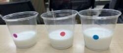 広陵コープ委員会:大山乳業農業協同組合の学習会“バター作り体験”もしました