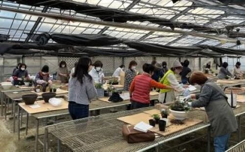五條コープ委員会:寄せ植え講習会 和風か洋風を選び楽しみました