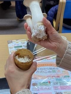 西大和コープ委員会:ホクト㈱の学習会 きのこの魅力を聞きました