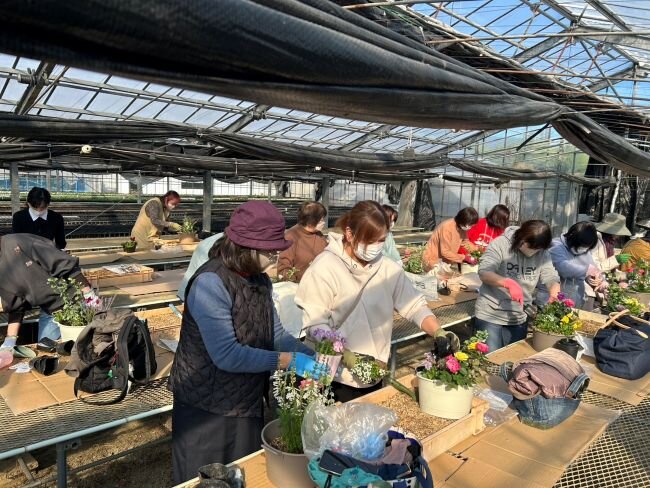 五條コープ委員会：毎年恒例の“寄せ植え”を楽しみました