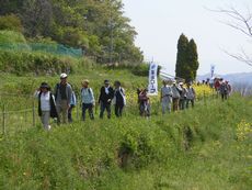 アースデー2018inなら:菜の花まつり&菜の花ウォーキングを開催しました