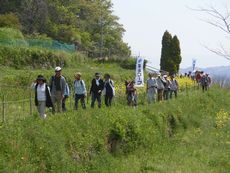 アースデー２０１８ｉｎなら：菜の花まつり＆菜の花ウォーキングを開催しました