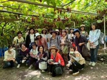 生駒北コープ委員会:(有)なかむら農園でデラウェアの収穫体験をしました