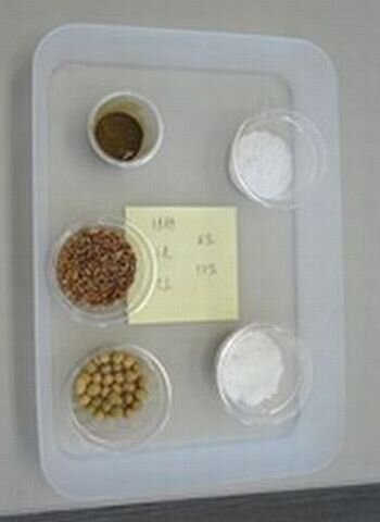 橿原北コープ委員会:ならコープ商品第1号「コープしょうゆ」のニシキ醤油㈱学習会