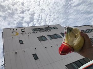 郡山西コープ委員会:バナナ工場見学に行きました!