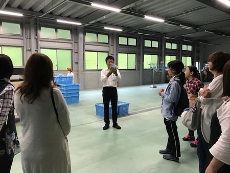 コープネット高田東:「ハートフルコープよしの」に行ってきました