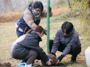 NPO法人桜ライン311の植樹会に参加しました