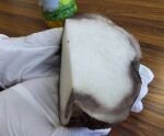 西大和コープ委員会:(株)若草食品の工場見学とこんにゃく作り体験