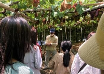 自分みがき講座C’est la Vie!第3回:(有)なかむら農園産地見学を開催しました