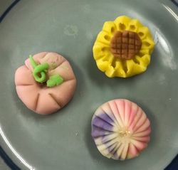 生駒東コープ委員会:本格和菓子“練り切り”作り体験