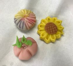 生駒東コープ委員会:本格和菓子“練り切り”作り体験