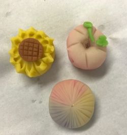 生駒東コープ委員会:本格和菓子“練り切り”作り体験