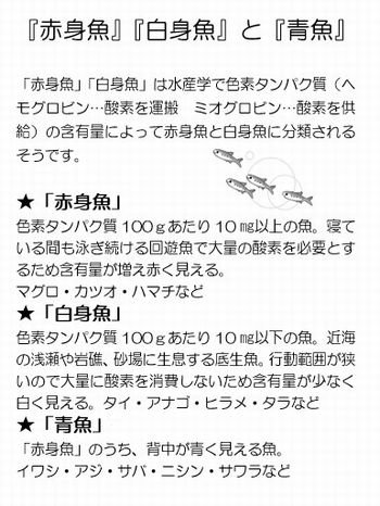 中エリア委員会：中エリア委員会で作成した冊子「さかなdeヘルシー」をご紹介