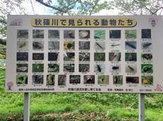 清掃活動 アースデーinなら を開催しました!!