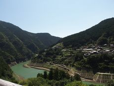 水源地の村「未来への風景づくり」下草刈りと生態系学習会を開催しました