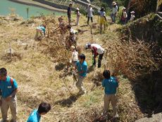 水源地の村「未来への風景づくり」下草刈りと生態系学習会を開催しました