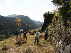 水源地の村「未来への風景づくり」下草刈りと生態系学習会を開催しました