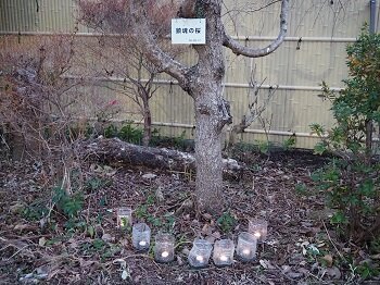第20回桜あかりの集い「阪神淡路大震災から30年~救援活動から防災を考える~」を開催しました