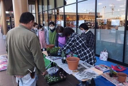 西の京コープ委員会：十津川農園の寄せ植え講習会