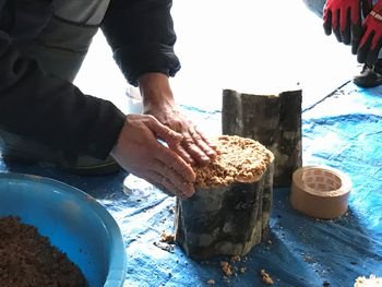 絆の森整備事業「キノコの植菌」を開催しました