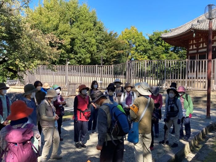 ならやまコープ委員会：奈良公園で巨樹・巨木の観察　樹木の不思議を体験しました