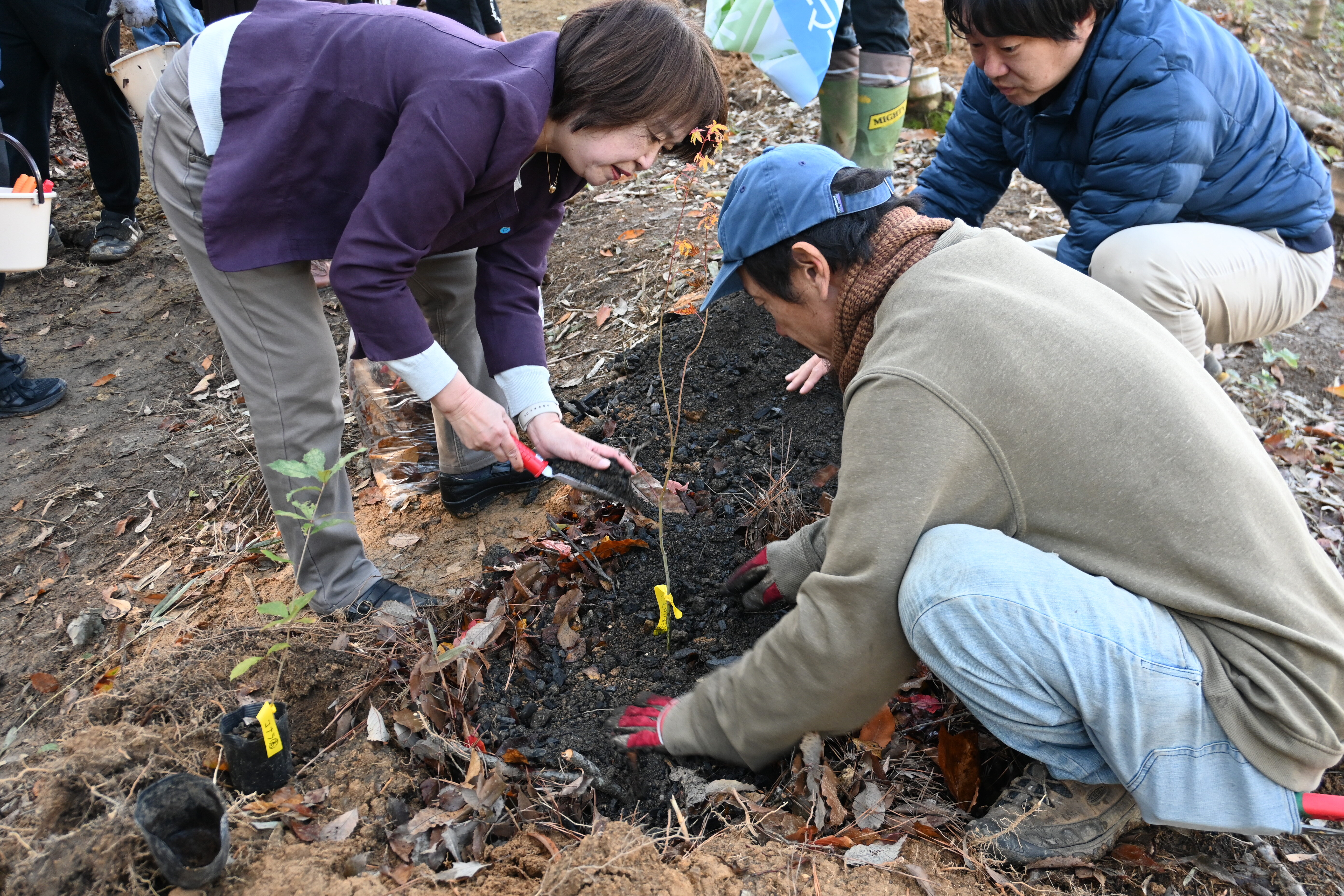 コープの森記念植樹イベントを開催しました