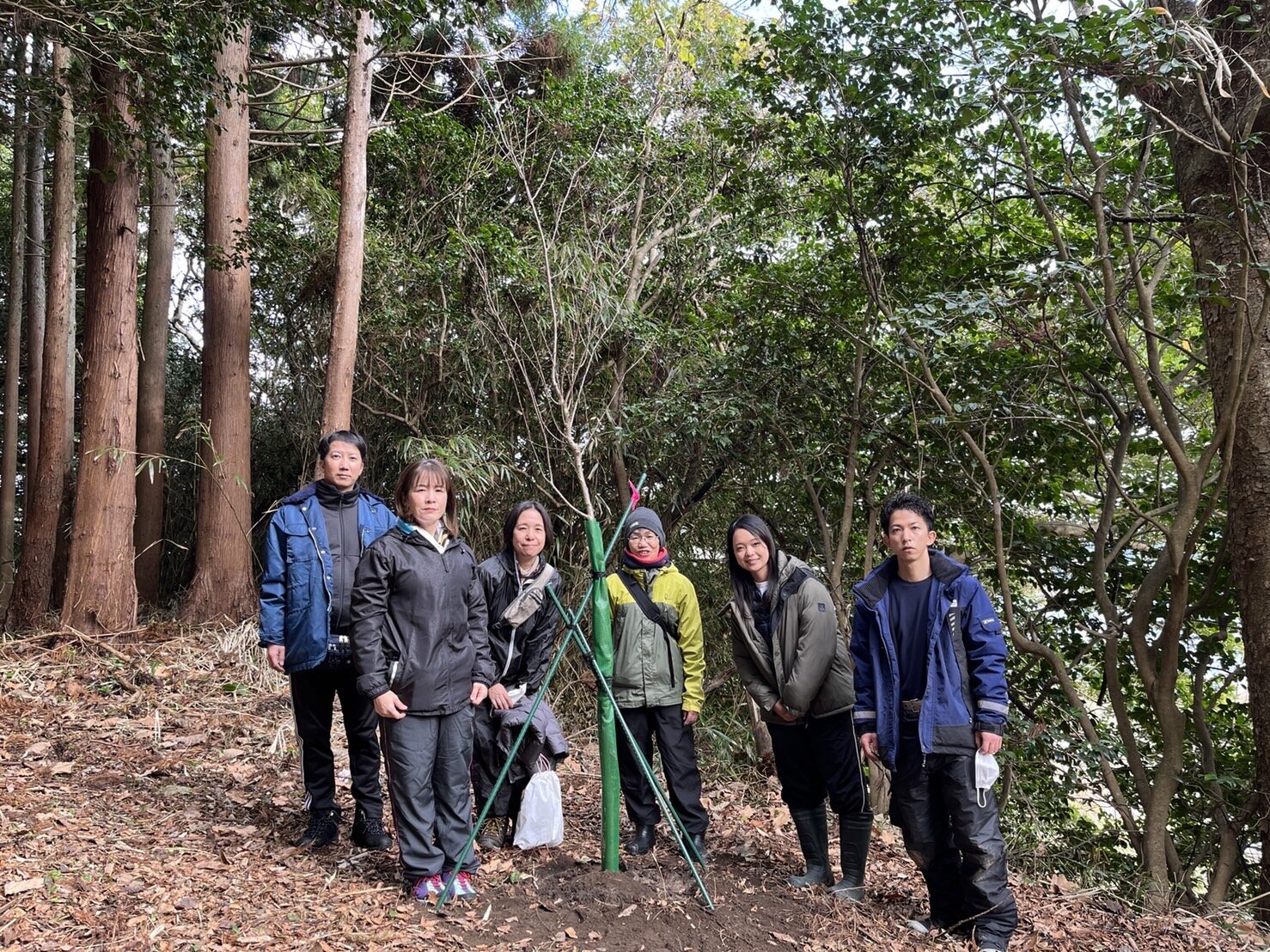 NPO法人桜ライン311の植樹会に参加しました