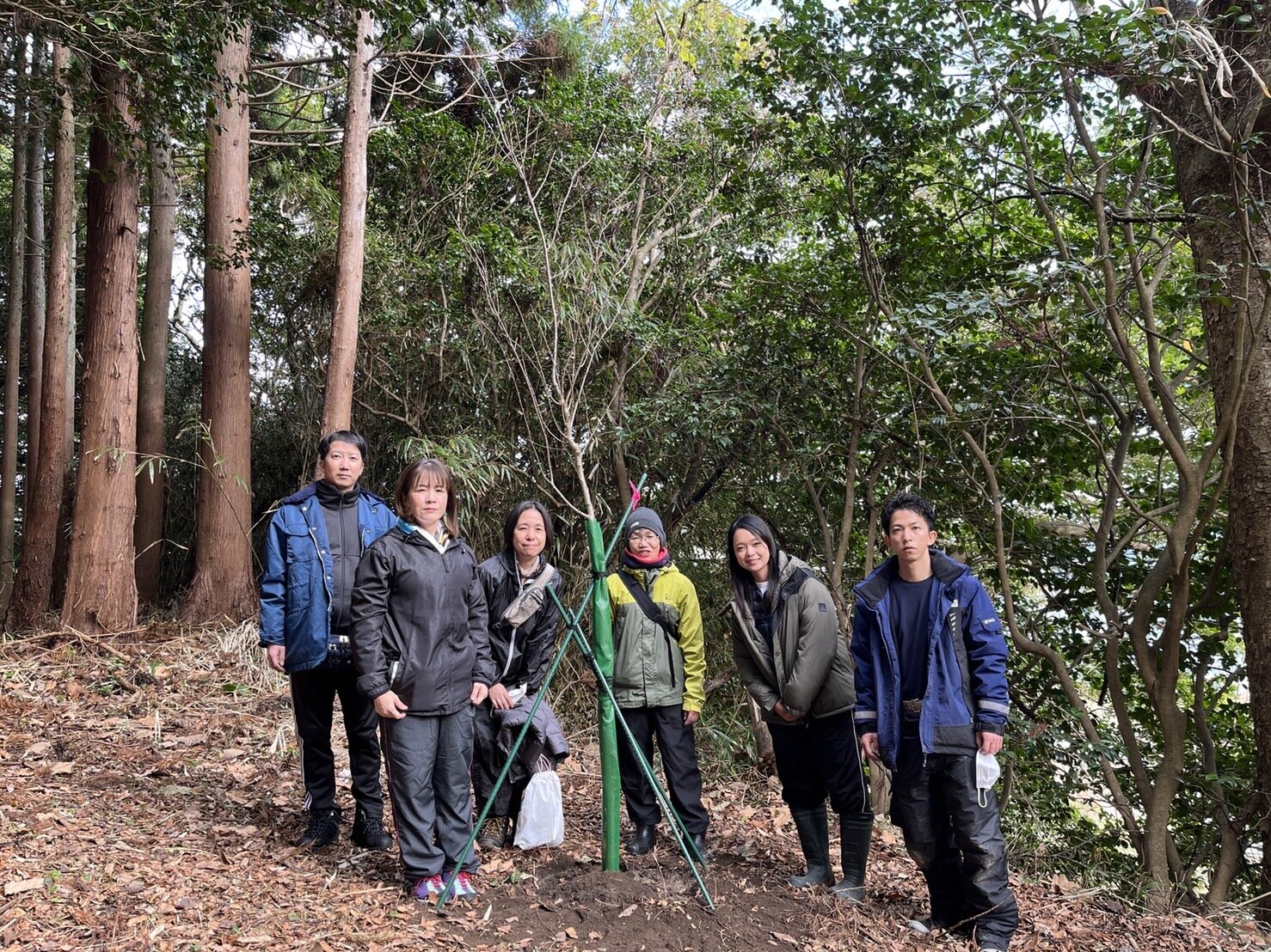 ＮＰＯ法人桜ライン311の植樹会に参加しました