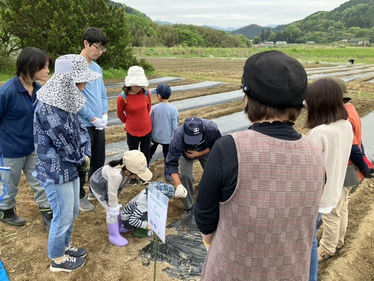 第１回「コープの農場応援隊」
