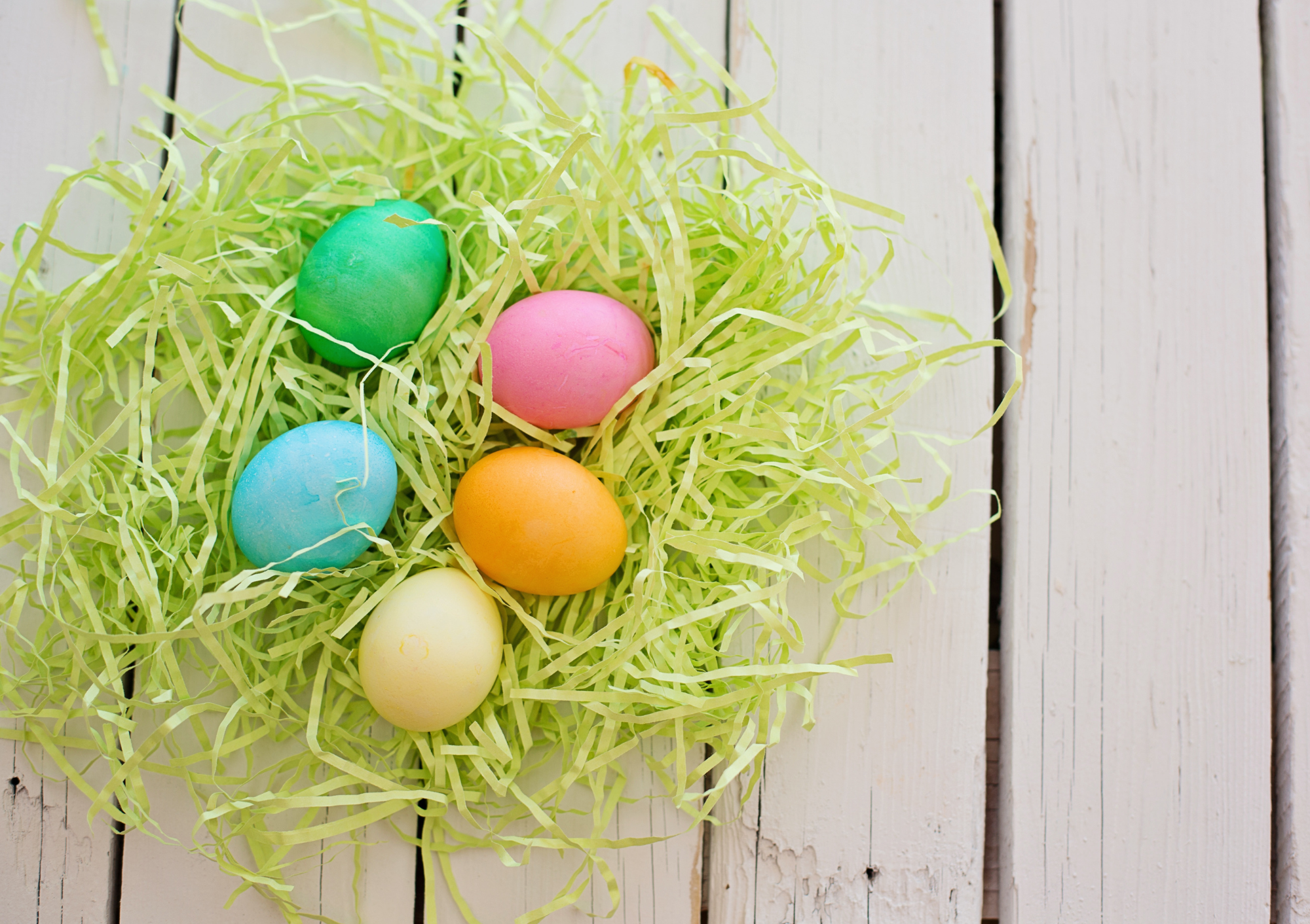 コープの森で植樹と自然に触れる体験をしませんか？（11/17更新）