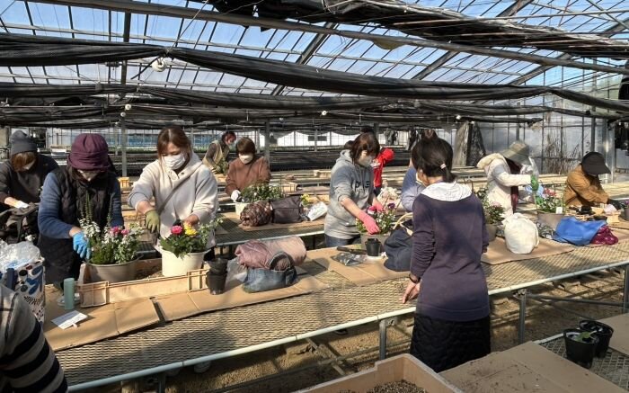 五條コープ委員会：毎年恒例の“寄せ植え”を楽しみました