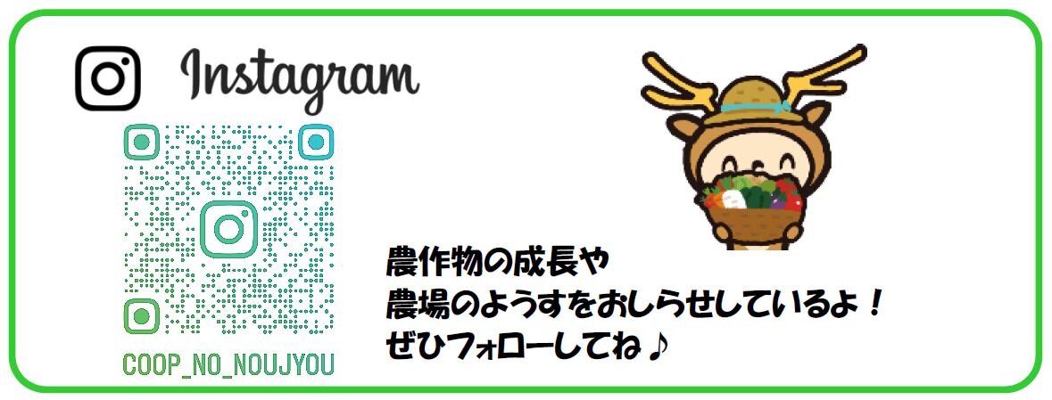 コープの農場　ホワイトコーン🌽　6/22(土)から全店で供給開始！