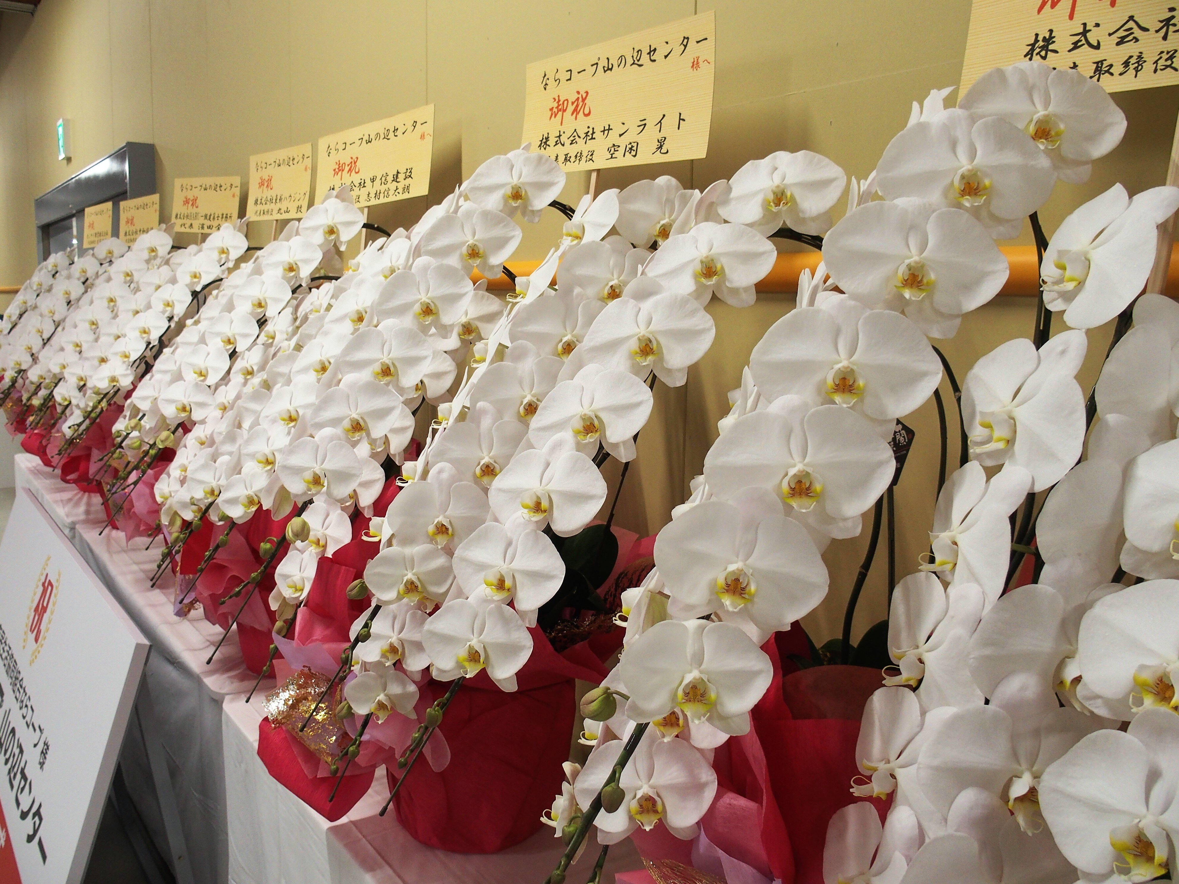 山の辺センター 竣工式と開所式を執り行いました(9/21)