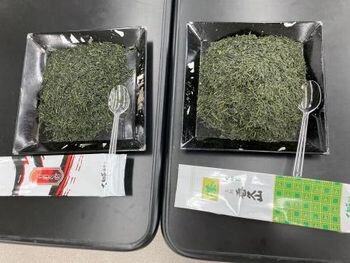 自分みがき講座C’est la Vie!第4回:大和茶再発見!おいしい日本茶の淹れ方講座を開催しました