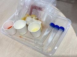 中エリア委員会：「コープ・ラボ たべるたいせつミュージアム」を見学・学習しました