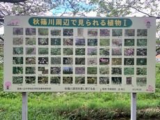 清掃活動 アースデーinなら を開催しました!!