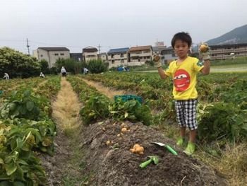 「地産地消をすすめる会」でじゃがいもを収穫しました！