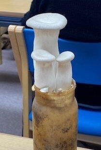 西大和コープ委員会:ホクト㈱の学習会 きのこの魅力を聞きました
