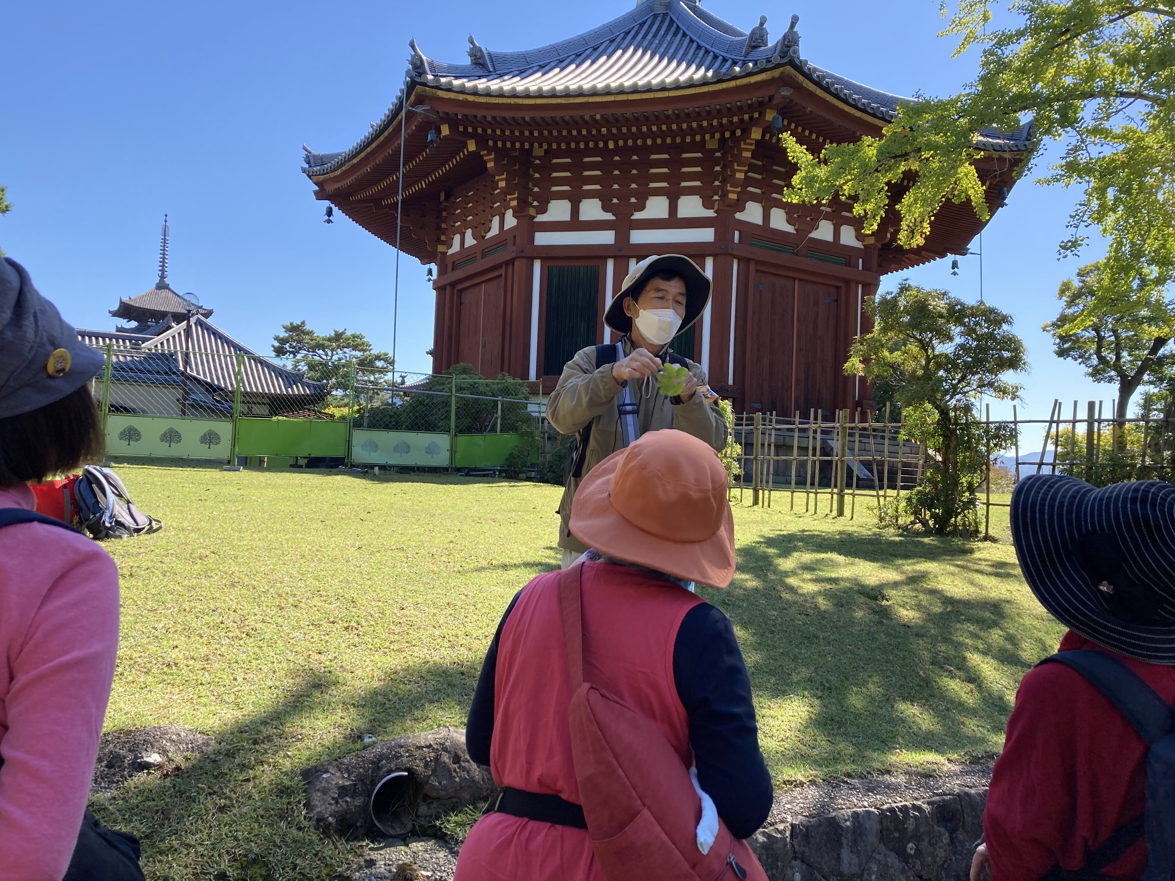 ならやまコープ委員会：奈良公園で巨樹・巨木の観察　樹木の不思議を体験しました