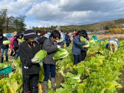 中エリア委員会：第2回活動交流会で“コープの農場”を見学