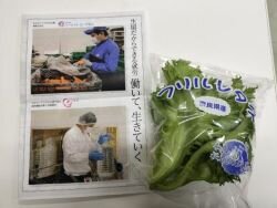 葛城コープ委員会: ㈱ハートフルコープよしのでレタスと水の工場見学をしました