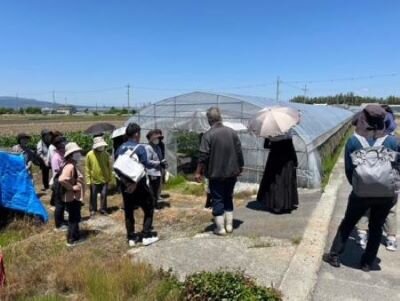 大宮コープ委員会：「産直 治道トマト」のハウス見学とケチャップ作り