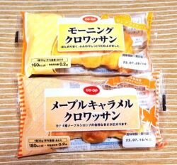 高田東コープ委員会:パネトーネ種のこだわりパン(株)コモの学習会