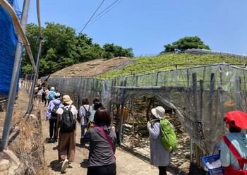 自分みがき講座C’est la Vie!第3回:(有)なかむら農園産地見学を開催しました