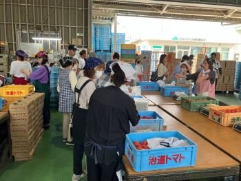 天理南コープ委員会:治道トマトのハウス見学とケチャップ作り体験